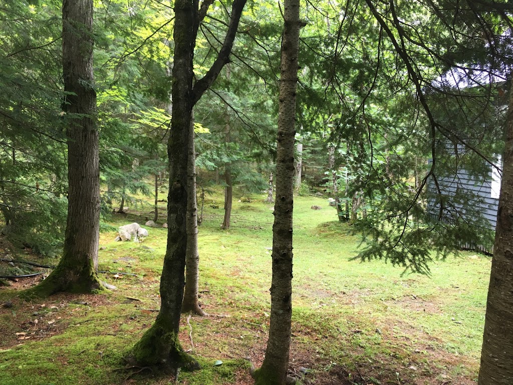 Miss Muskoka Landscapes | 13 Pinewood Dr, Bracebridge, ON P1L 1K7, Canada | Phone: (705) 641-9616
