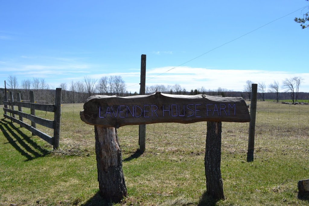 Lavender House Bed & Breakfast | 574401 Rd 57C, Singhampton, ON N0C 1M0, Canada | Phone: (705) 607-1410