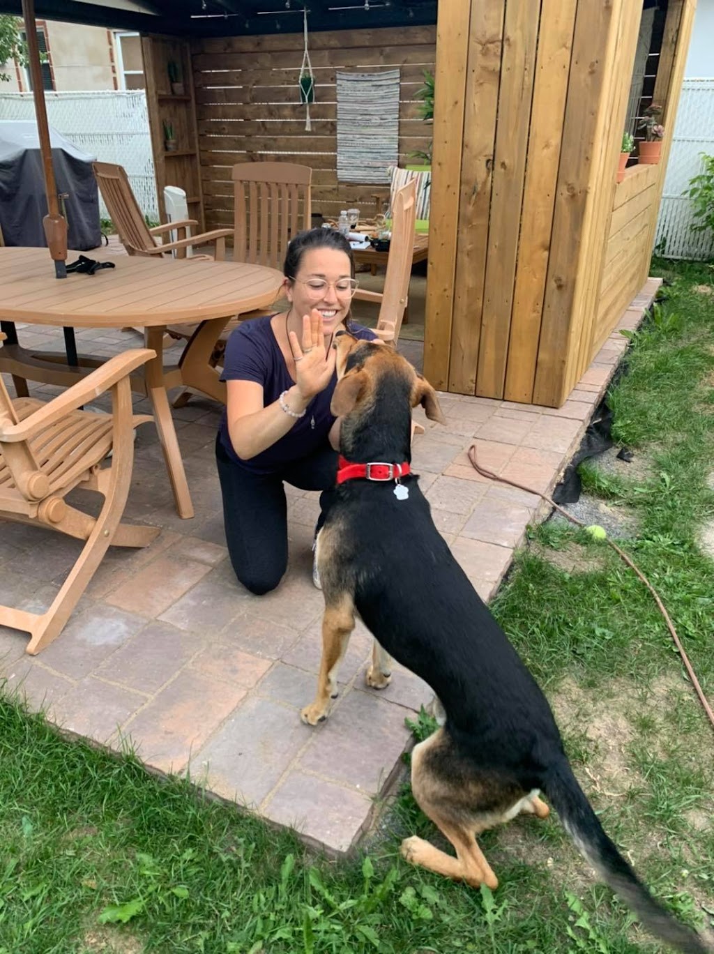 So Complice, intervenante en comportement canin | 7 Chem. du Sous Bois, Lac-Beauport, QC G3B 1T5, Canada | Phone: (418) 951-8681