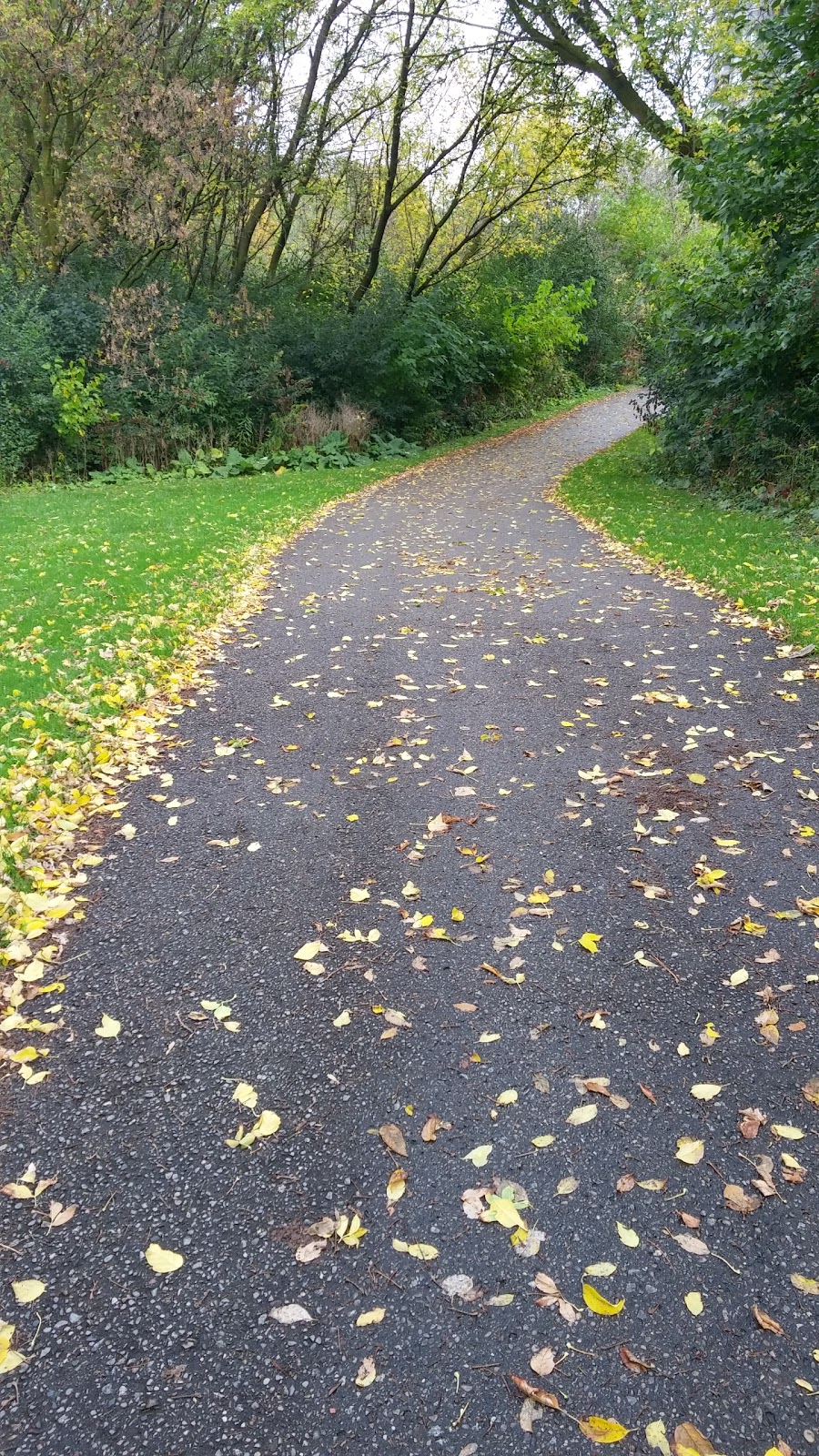 Ron Watson Park | 140 Bonis Ave, Scarborough, ON M1T 3W6, Canada | Phone: (416) 338-4386