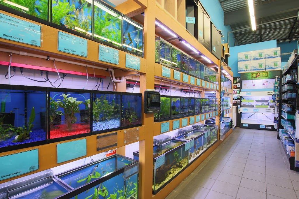 Animalerie du Grand Boisé | 1410 Chemin de Saint-Jean, La Prairie, QC J5R 2L7, Canada | Phone: (450) 907-7772