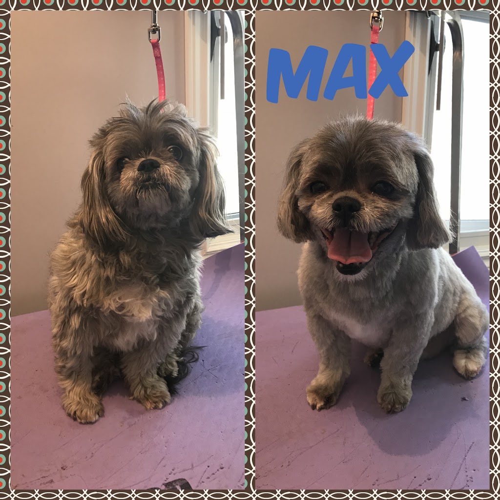 Sit, Stay, Style Dog Grooming | box 2025, Fort QuAppelle, SK S0G 1S0, Canada | Phone: (306) 745-8602