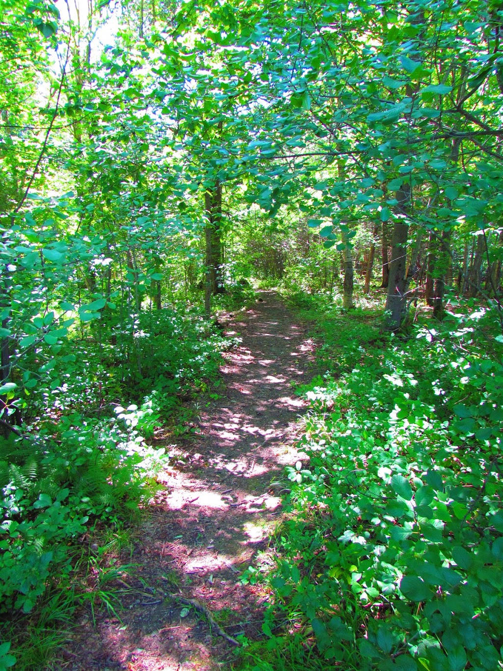 Camp Kinagalawi | 472 Chem. Jacques, Le Val-Saint-François, QC J0B, Canada, Canada | Phone: (819) 791-1363
