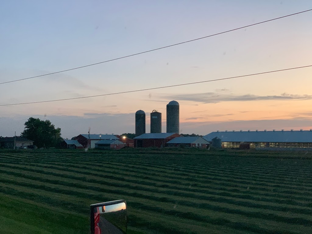 Thomsvue Farms | South Huron, ON N0M 1V0, Canada | Phone: (519) 229-6819