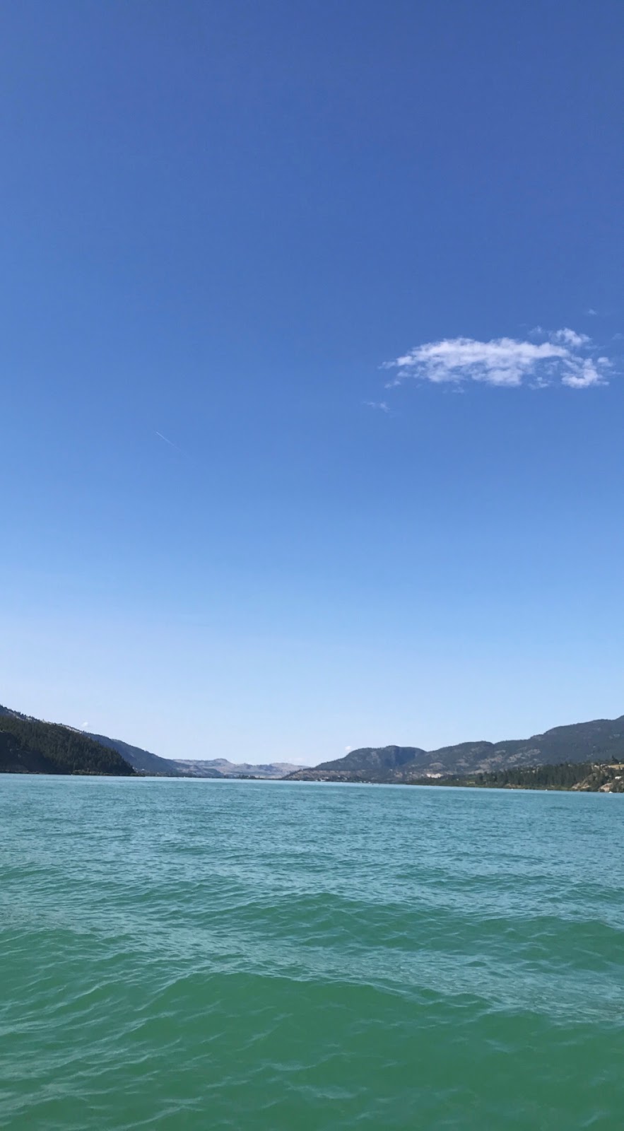 Chris Docksteader, Remax Kelowna | 12623 Ponderosa Dr, Lake Country, BC V4V 2G9, Canada | Phone: (250) 212-2233
