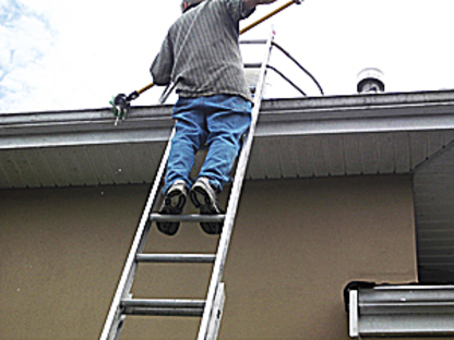 Busy Bee Gutter | 5280 3 Ave, Delta, BC V4M 1E7, Canada | Phone: (604) 788-3991
