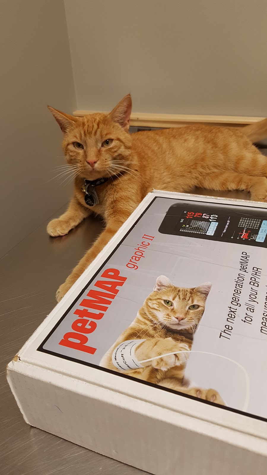Foothills Animal Hospital | 34 Southridge Dr #6, Okotoks, AB T1S 2G5, Canada | Phone: (403) 938-3791