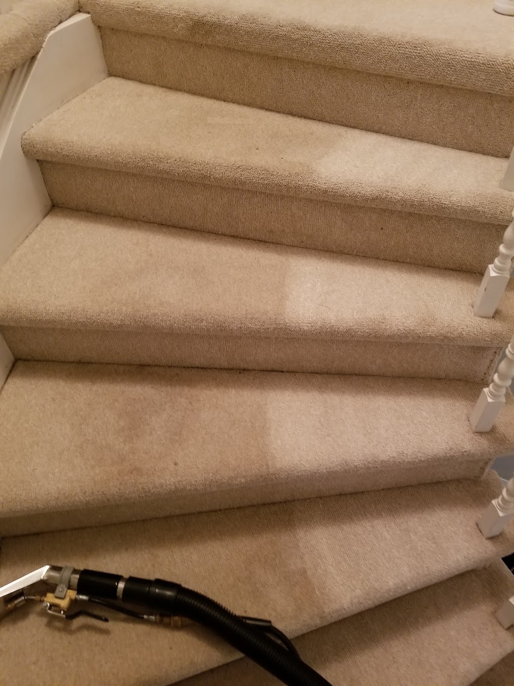 Magic Carpet Cleaning | 12 Gaudi Rd, Scarborough, ON M1B 0B4, Canada | Phone: (437) 999-3842