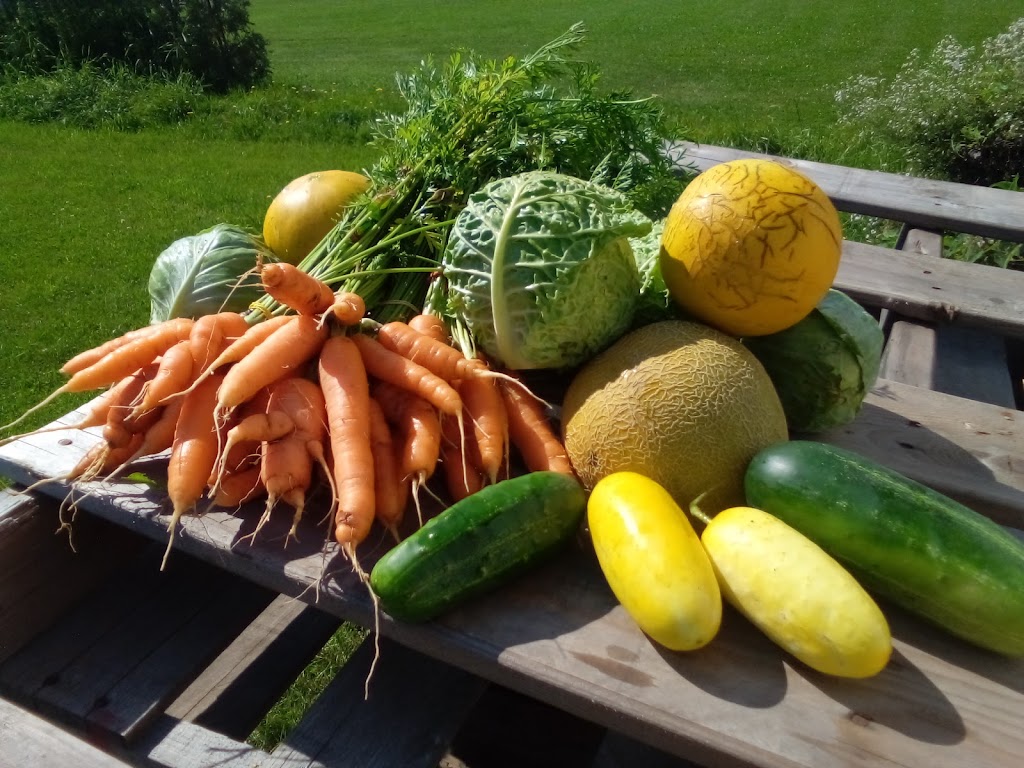 Ferme de la petite Mésange | 13039 Rue Notre Dame O, Trois-Rivières, QC G9B 6X5, Canada | Phone: (581) 989-8475