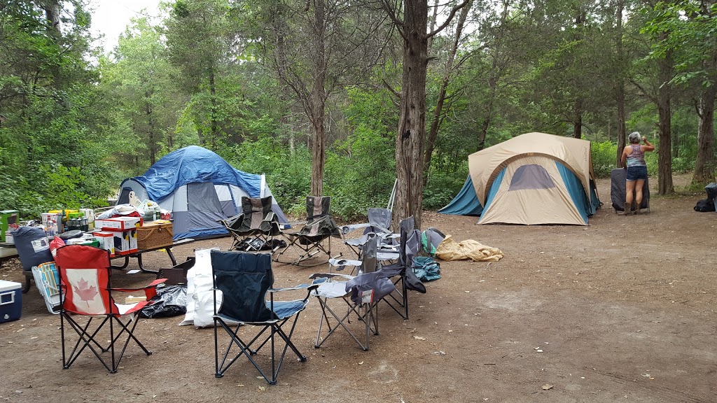 Pinery Provincial Park | 9526 Lakeshore Rd, Grand Bend, ON N0M 1T0, Canada | Phone: (519) 243-2220