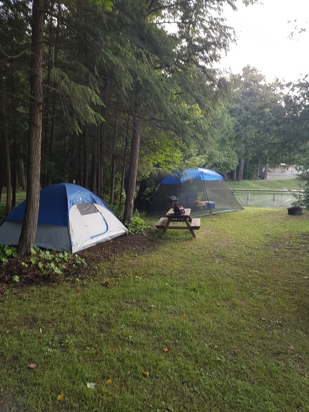 Spring water Trailer Resort | 4331 Hwy 7A, Nestleton, ON L0B 1L0, Canada | Phone: (905) 986-0274