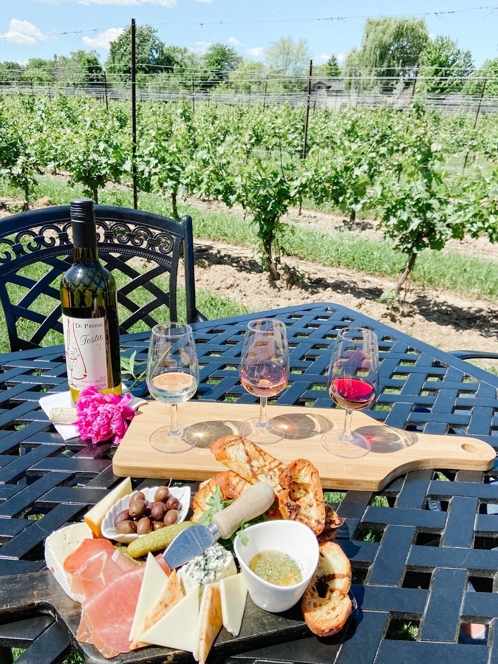 Crush On Niagara Wine Tours | Box 816, 4520 Ontario St, Beamsville, ON L0R 1B0, Canada | Phone: (905) 563-1759