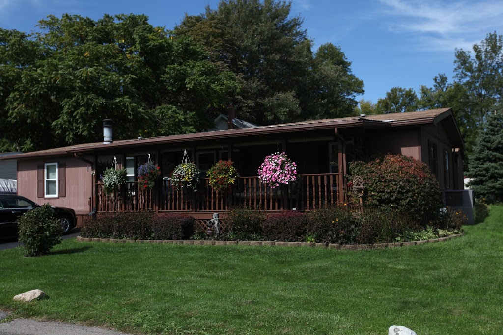 Cayuga Village Inc | 9370 Niagara Falls Blvd, Niagara Falls, NY 14304, USA | Phone: (716) 297-1770