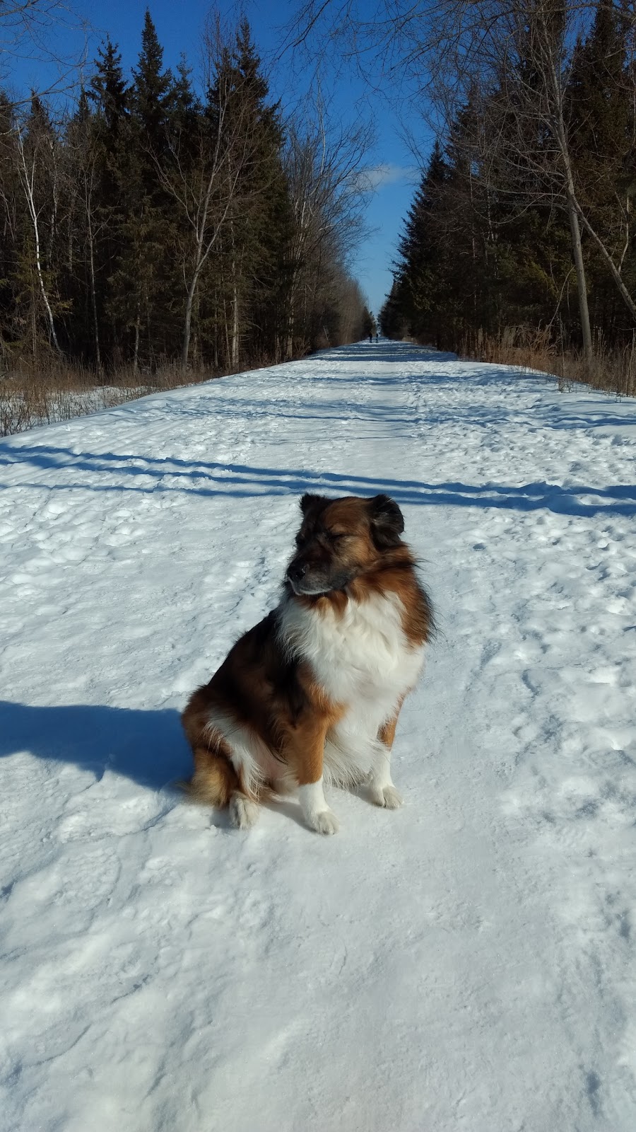 Trans Canada Trail | Trans Canada Trail, Kanata, ON K2M 1Z3, Canada