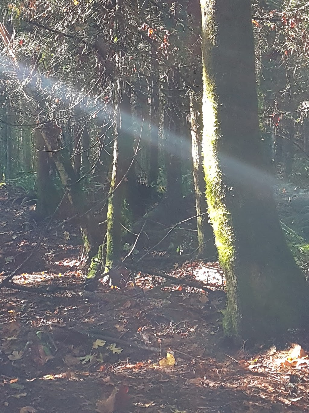 Diana, Princess of Wales Park | Olsen Rd, Ladysmith, BC V9G 2B3, Canada | Phone: (250) 746-2500