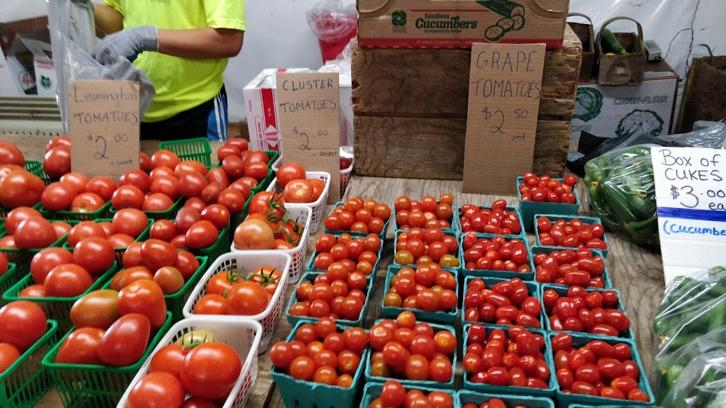 Trails End Market | 4370 Dundas St. East, Thorndale, ON N0M 2P0, Canada | Phone: (519) 268-3840