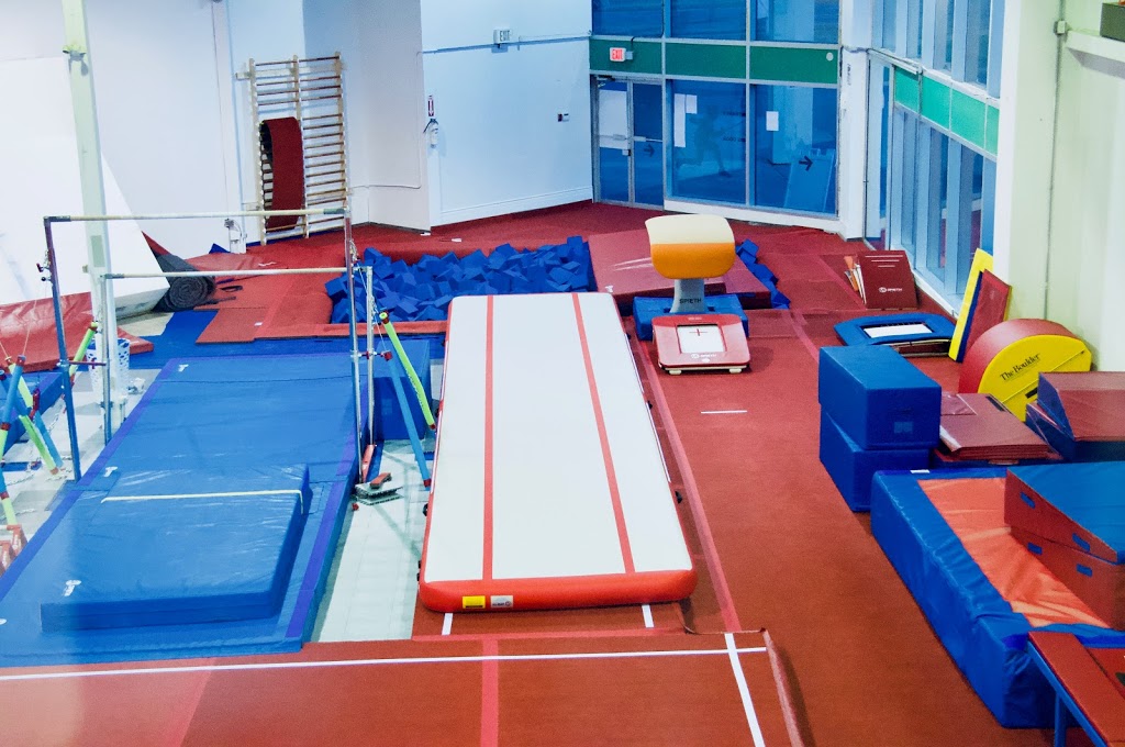 TRYumph Gymnastics Academy | 1373 Ogilvie Rd #1, Gloucester, ON K1J 7P5, Canada | Phone: (613) 742-5066