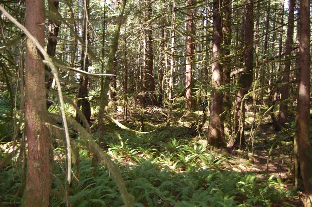Woodview Bed and Breakfast | 2962 Roozendaal Rd, Cowichan Valley B, BC V0R 2W1, Canada | Phone: (250) 733-2000