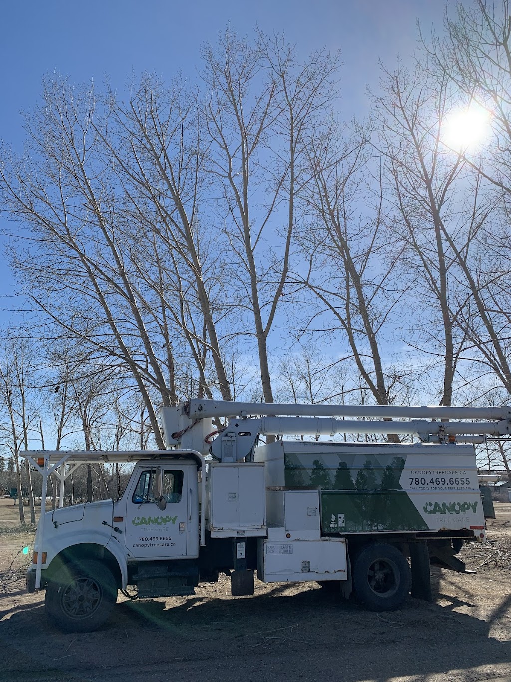 Canopy Tree Care | 5480 Meridian St NW, Edmonton, AB T6P 1R3, Canada | Phone: (780) 469-6655