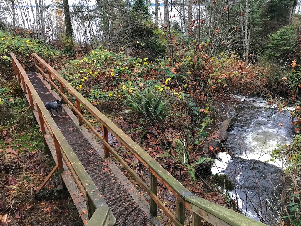 Daniel Street Park | Daniel St, Chemainus, BC V0R 1K1, Canada