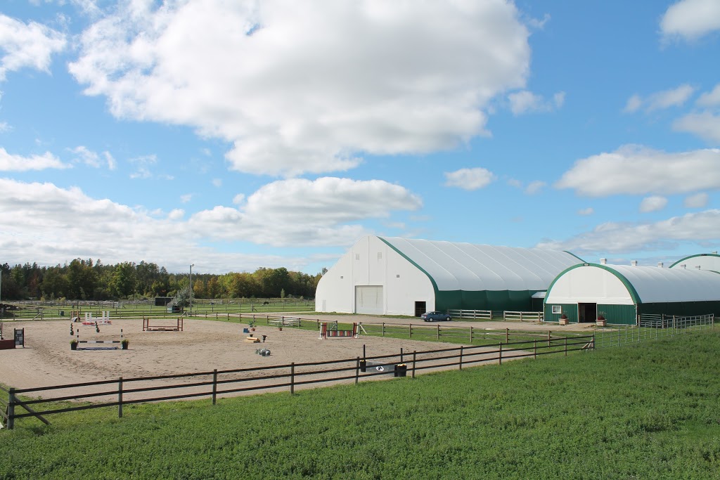 El Rancho Equestrian | 1922 County Rd 92, Elmvale, ON L0L 1P0, Canada | Phone: (705) 305-5068