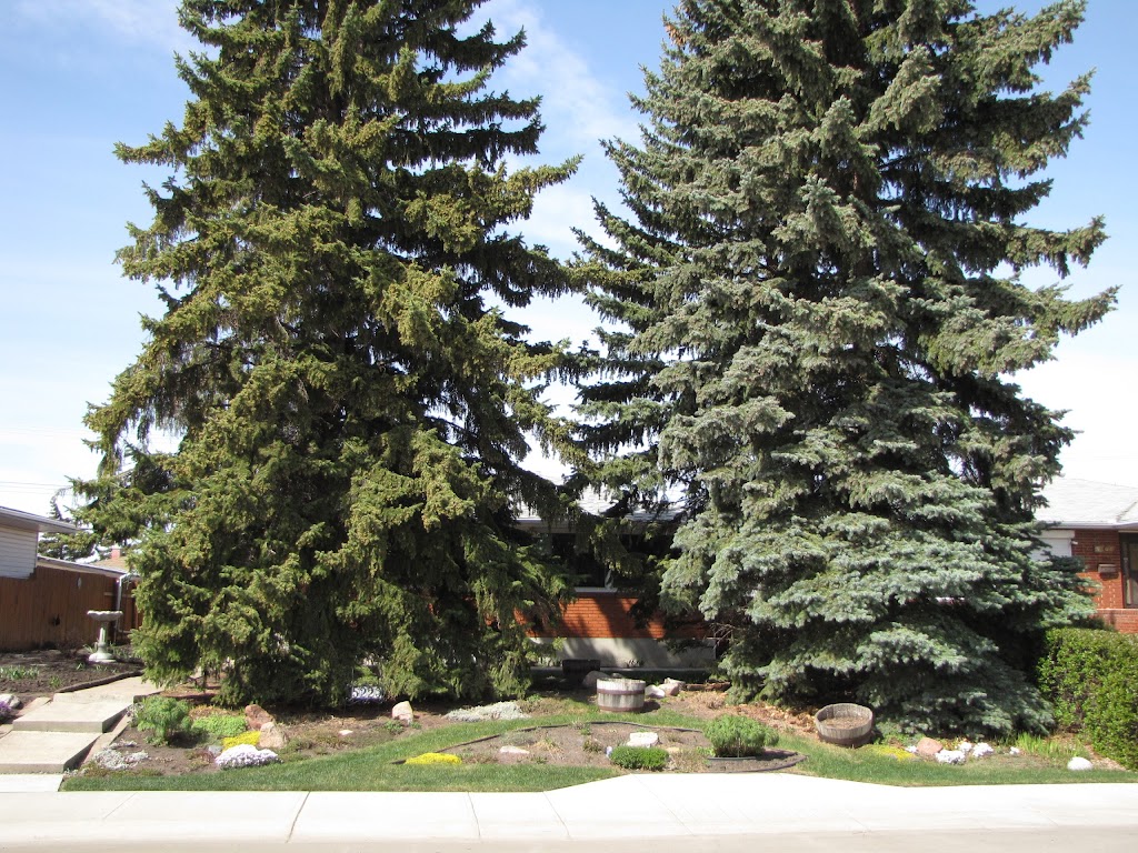 Lendrum Sugaring and Laser | 5220 114b St NW, Edmonton, AB T6H 3N5, Canada | Phone: (780) 270-3122